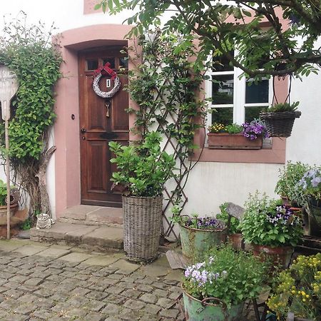 All Seasons Bed & Breakfast Kerpen  Esterno foto