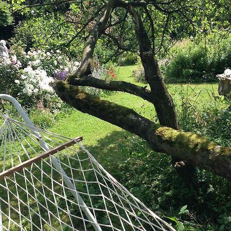 All Seasons Bed & Breakfast Kerpen  Esterno foto