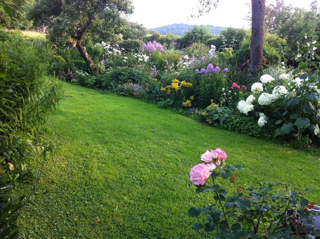 All Seasons Bed & Breakfast Kerpen  Esterno foto