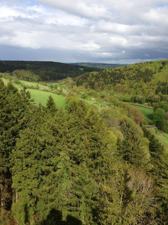 All Seasons Bed & Breakfast Kerpen  Esterno foto