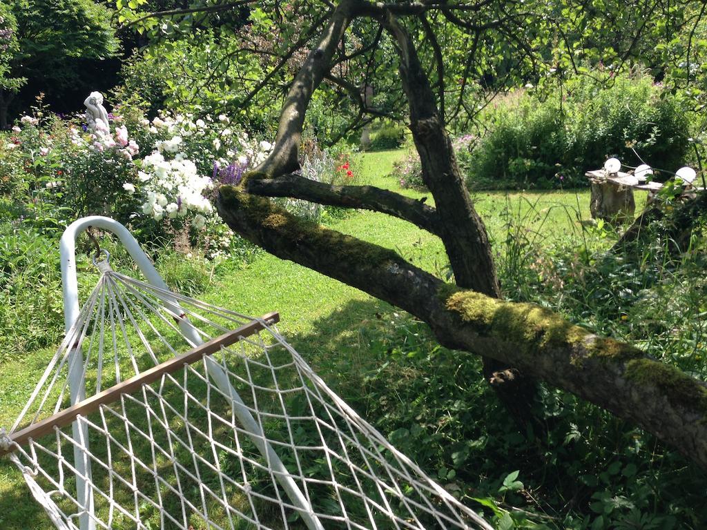 All Seasons Bed & Breakfast Kerpen  Esterno foto